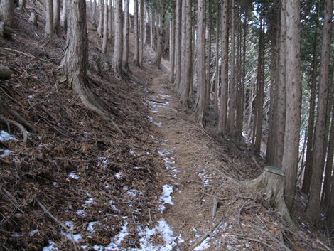 20181214hike (499)